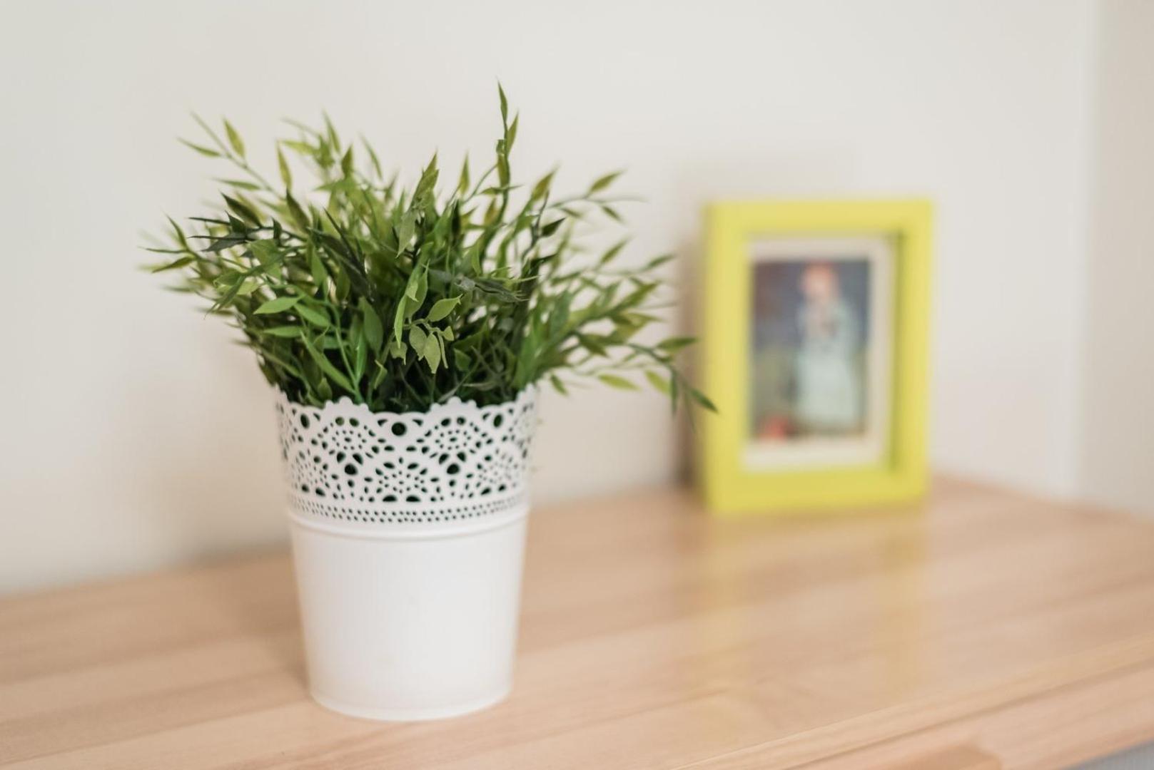 Guestready - Amaryllis